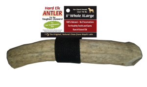 8 inch XL Whole Elk Antler chew