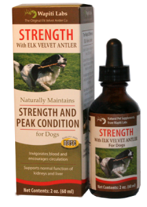 Strength supplement for dogs