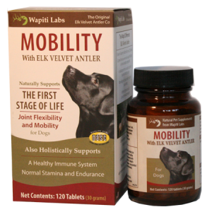 Mobility for dogs in first stage of life