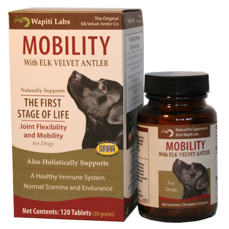 Mobility for dogs in first stage of life