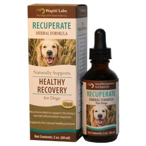 Recuperate For Dog