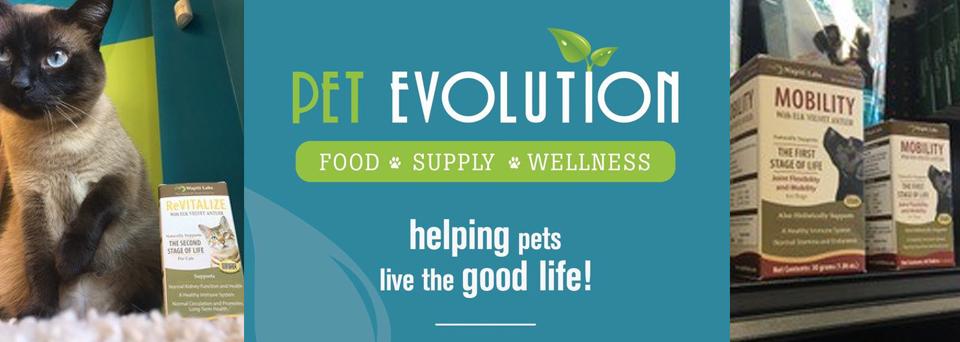Pet Evolution 2