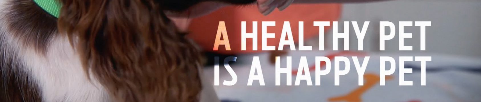 A Healthy Pet Is A Happy Pet