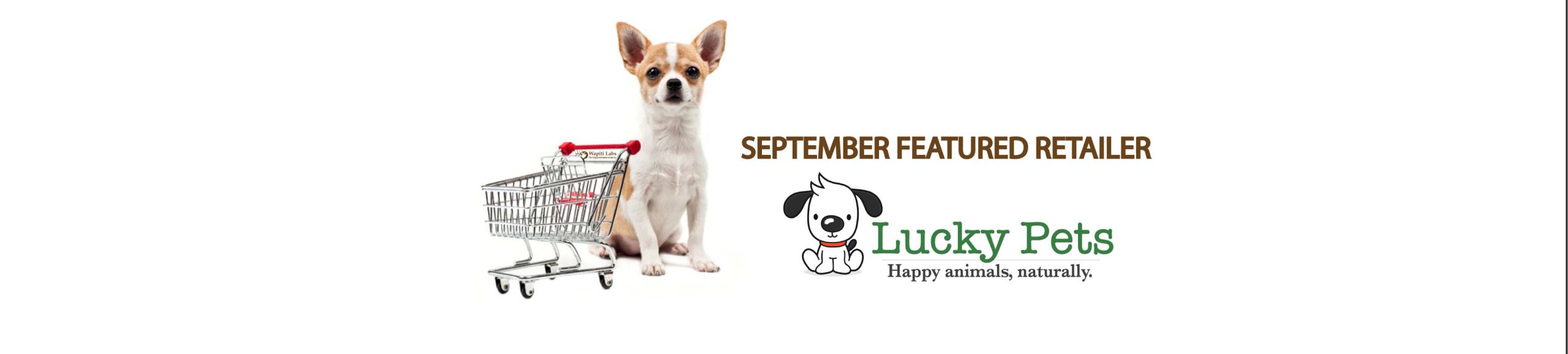 Featured Retailer August