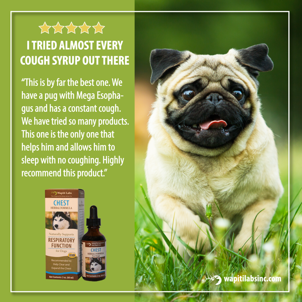 5 star review: I tried almost every cough syrup out there. This is by far the best one. We have a pug with Mega Esophagus and has a constant cough. We have tried so many products. This one is the only one that helps him and allows him to sleep with no coughing. Highly recommend this product.
