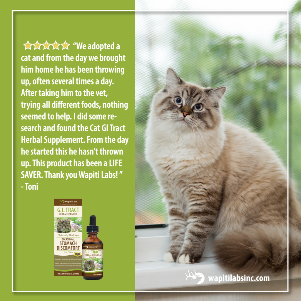 5 star review: We adopted a cat and from the day we brought him home he has been throwing up, often sever times a day. After taking him to the vet, trying all different foods, nothing seemed to help. I did some research and found the Cat GI Tract Herbal Supplement. From the day he started this he hasn't thrown up. This product has been a LIFE SAVER. Thank you Wapiti Labs! - Toni
