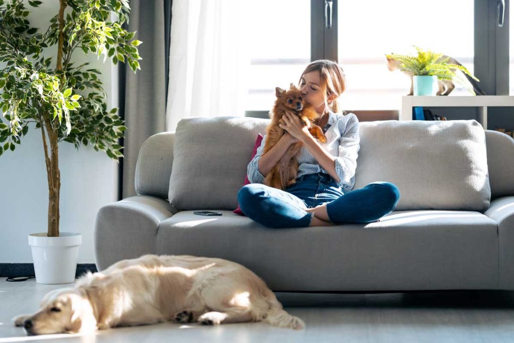Womman Sitting On Couch With Dogs And A Cat