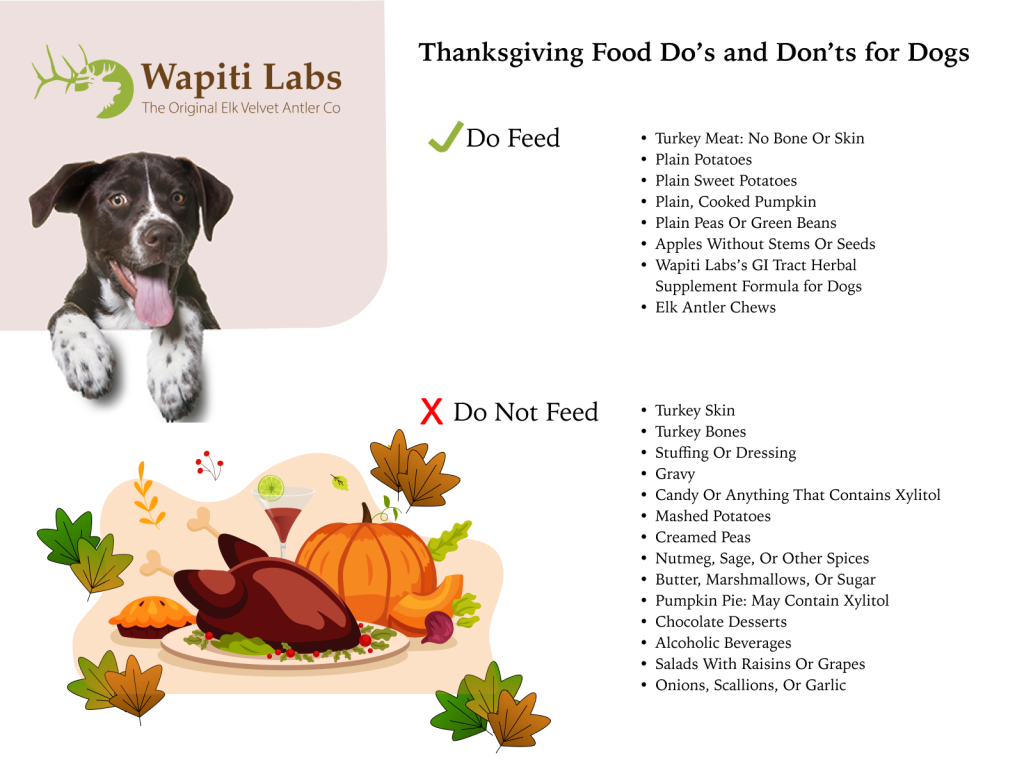 What Can My Dog Eat For Thanksgiving? A Graphic To Help You With What A Dog Can And Cannot Eat!